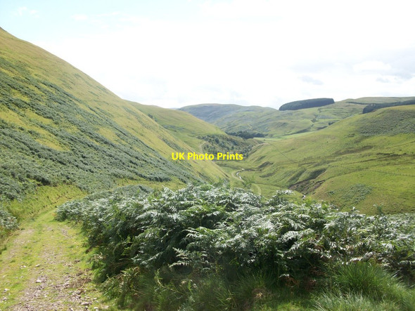 Photo 6"x4" Above Barrowburn Barrow Burn\/NT8610 c2010