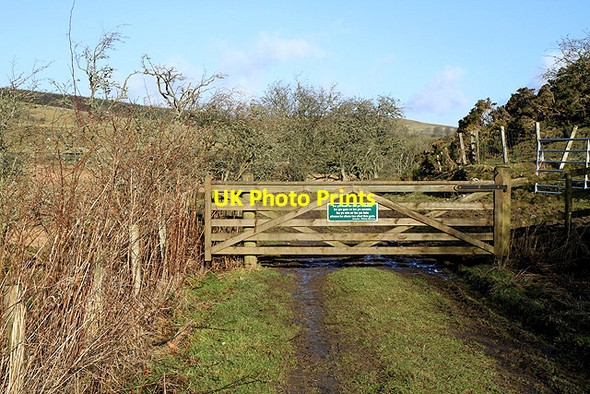 Photo 6"x4" A track and gate at Newmill Harwood on Teviot c2012