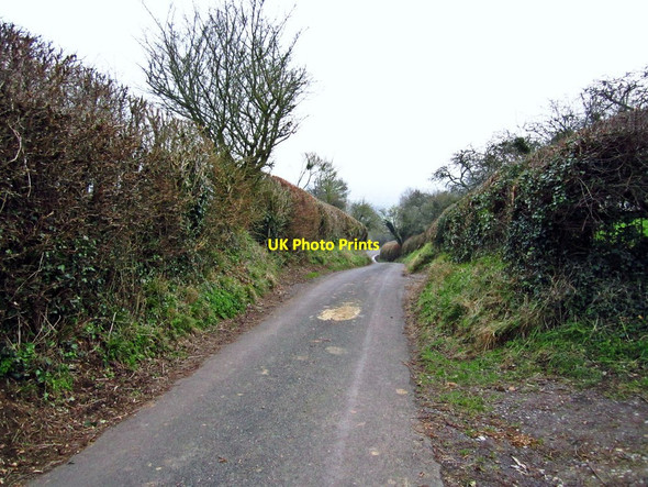 Photo 6"x4" Basketfield Lane Glastonbury c2012