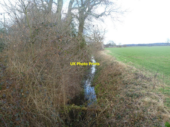Photo 6"x4" Harbridge, ditch Bleak Hill c2012