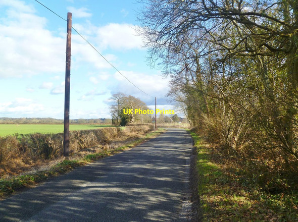 Photo 6"x4" Harbridge, Kent Lane Harbridge c2012