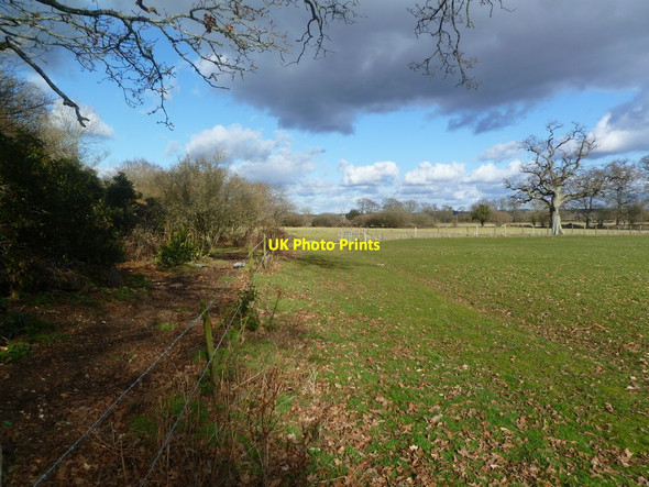 Photo 6"x4" Harbridge, Avon Valley Path Harbridge c2012