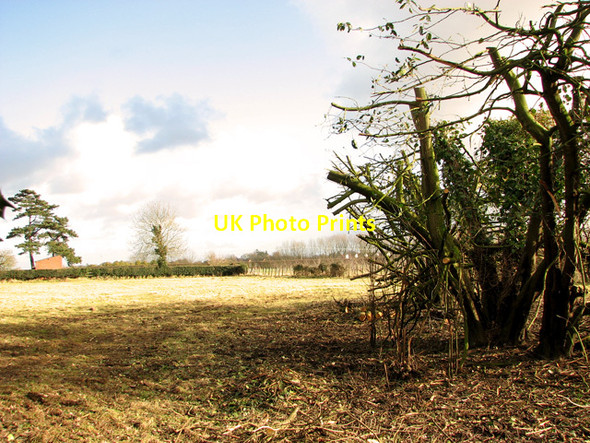Photo 6"x4" Pasture north of How Hill Farm, Ludham How Hill\/TG3719 c2012