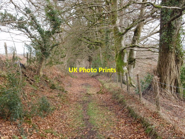 Photo 6"x4" Llwybr troed Cwmygigfran footpath, Cwmdu Cwmdu\/SN6330 c2012