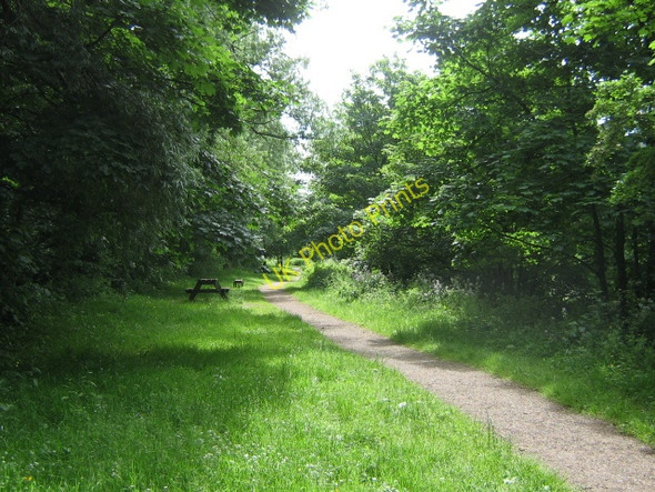Photo 6"x4" Footpath,River Eden Carlisle c2008