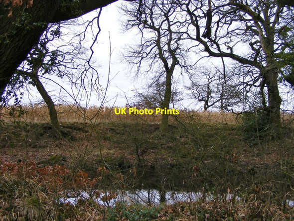 Photo 6"x4" Chillington Pool Coldham\/SJ8508 c2012