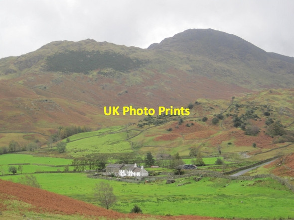 Photo 6"x4" Fell Foot Little Langdale c2011