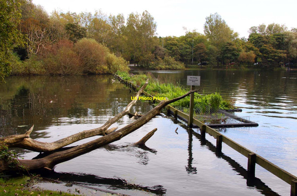 Photo 6"x4" The lake in Stanley Park Blackpool\/SD3136 c2011