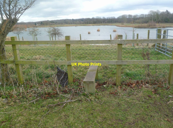 Photo 6"x4" Ibsley, stile Ibsley c2012
