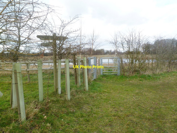 Photo 6"x4" Ibsley, footpath junction Ibsley c2012