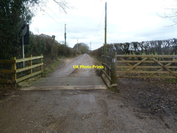 Photo 6"x4" South Gorley, cattle grid South Gorley c2012