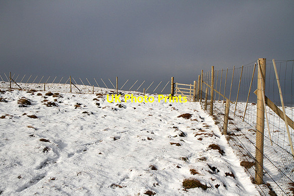 Photo 6"x4" A fence on Ward Law Ettrick c2012