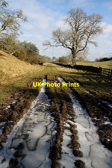 Photo 6"x4" A farm track at Alerigg Clarilaw\/NT5527 c2012