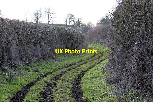 Photo 6"x4" Green Lane, Hanley Castle Gilbert's End c2012