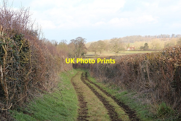Photo 6"x4" Green Lane, Hanley Castle Gilbert's End c2012 P1