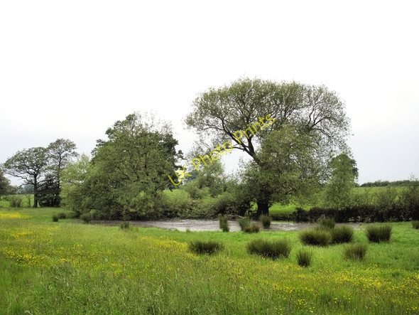 Photo 6"x4" Meadow and pond near Painters Green Painters Green c2008