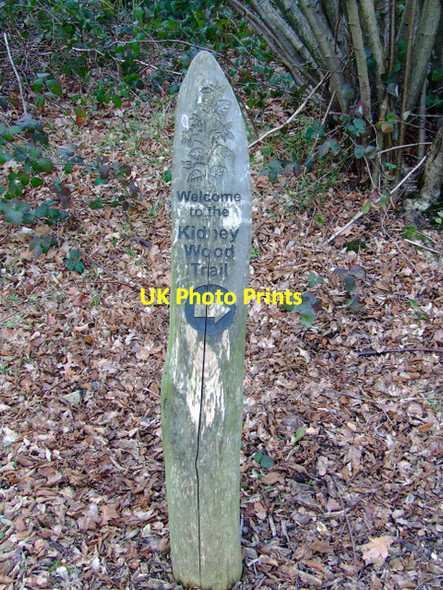 Photo 6"x4" Waymarker in Kidney Wood Luton\/TL0921 c2012