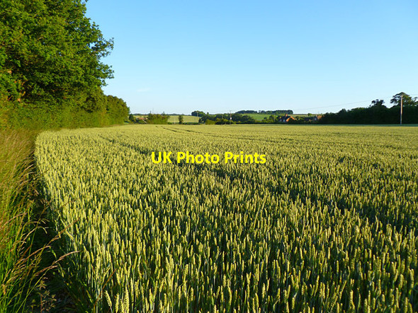 Photo 6"x4" Farmland, Compton Compton\/SU5280 c2011