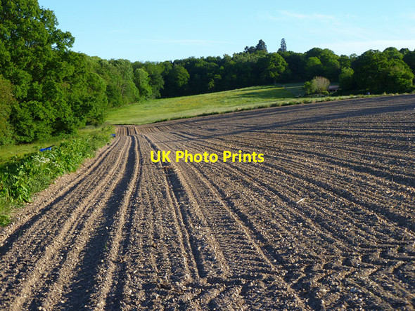 Photo 6"x4" Farmland, Bucklebury Bucklebury c2011