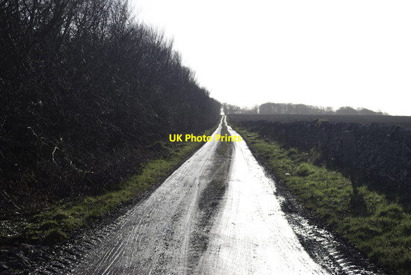 Photo 6"x4" Track to Stirkoke Bilbster c2012