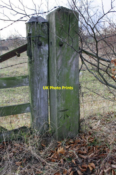 Photo 6"x4" Wooden gatepost on Shillingford Road with benchmark Wallingford c2012