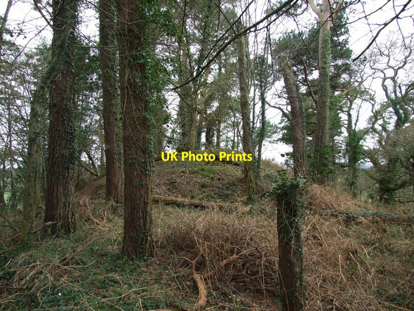 Photo 6"x4" Double Barrow, In Kite Hill Plantation Throop c2012