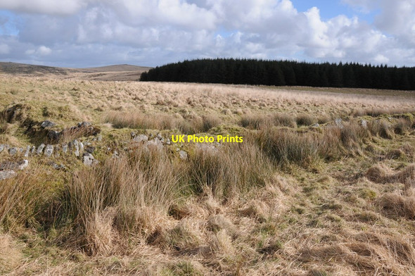 Photo 6"x4" Old walls on Butterstor Downs Tolborough c2012