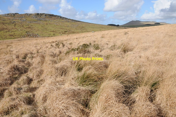Photo 6"x4" Garrow Downs Tolborough c2012