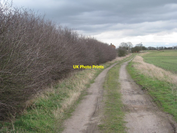 Photo 6"x4" The track to Warren House Farm Southrey c2012