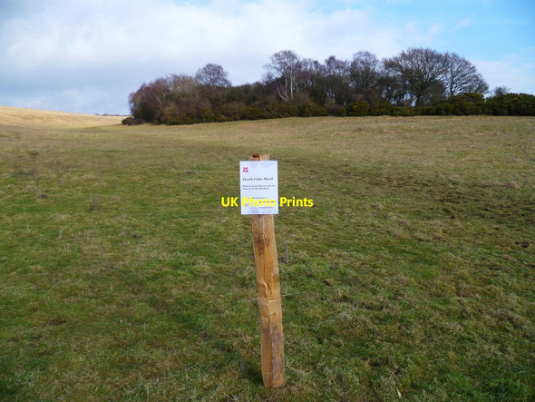 Photo 6"x4" Notice in field Falmer c2012