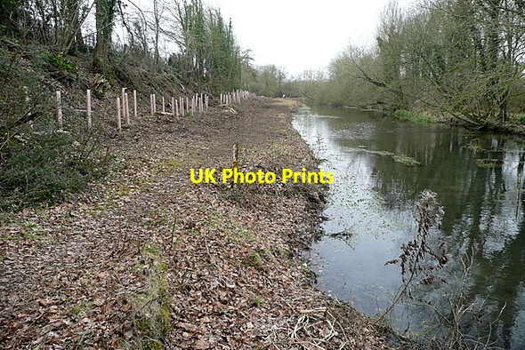 Photo 6"x4" River Kennet  just in Berkshire Eddington\/SU3469 c2012