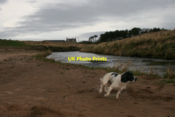 Photo 6"x4" Running waters and a running dog Windyridge\/NJ2367 c2012