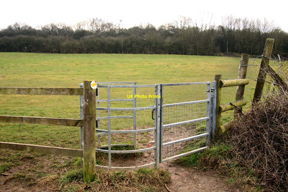 Photo 6"x4" Kissing gate to the footpath Chawley c2012