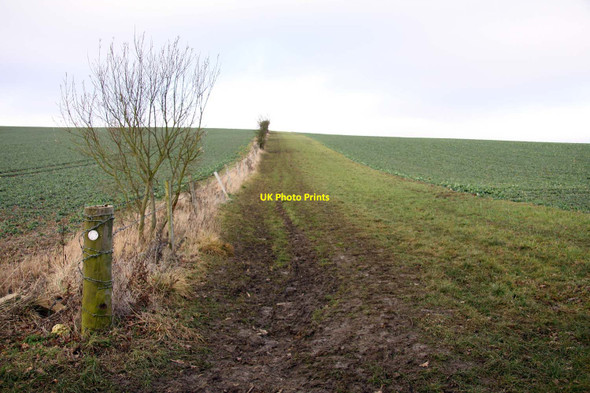 Photo 6"x4" Bridleway to Elms Rise Chawley c2012