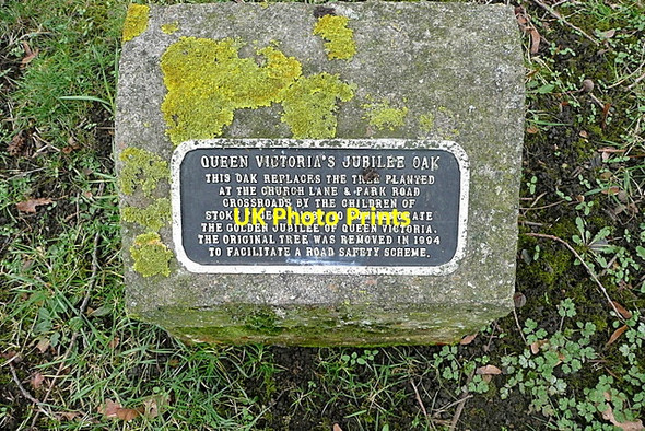 Photo 6"x4" Queen Victoria's Jubilee Oak Stoke Green c2012