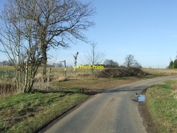 Photo 6"x4" Country Road And Footpath Little Henny c2012