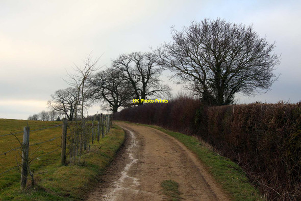 Photo 6"x4" Track to Chawley Botley\/SP4805 c2012