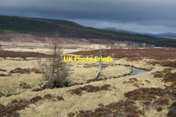 Photo 6"x4" Allt Mor south of Baileguish Corarnstilbeg c2012