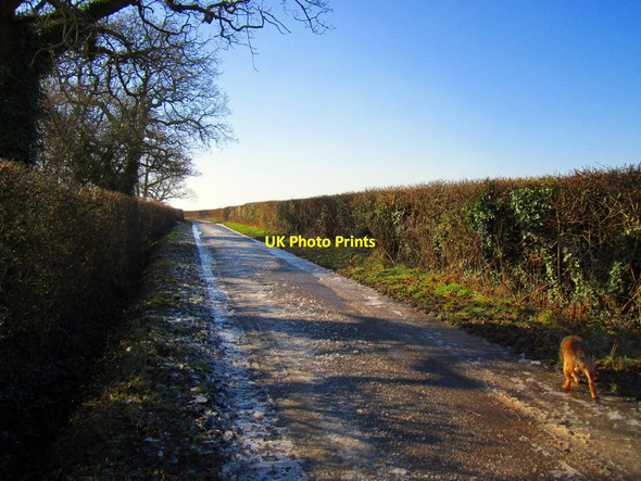 Photo 6"x4" Sheet Ice Ashcott c2012