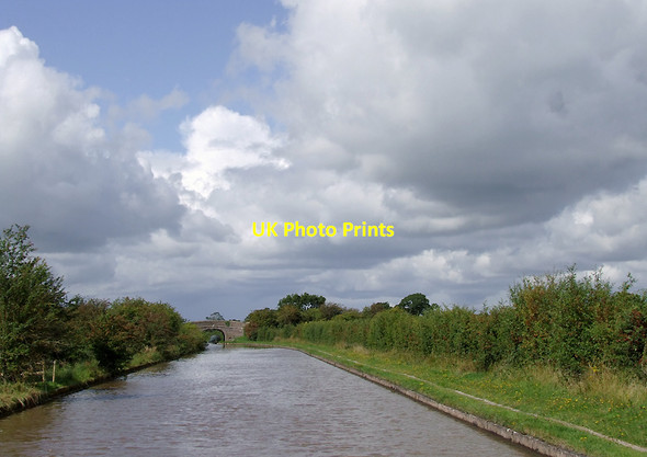 Photo 6"x4" Middlewich Branch Canal north of Barbridge, Cheshire Wardle\/SJ6157 c2011