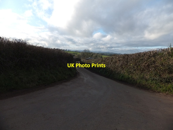 Photo 6"x4" Burnthouse Hill to North Whilborough North Whilborough c2012