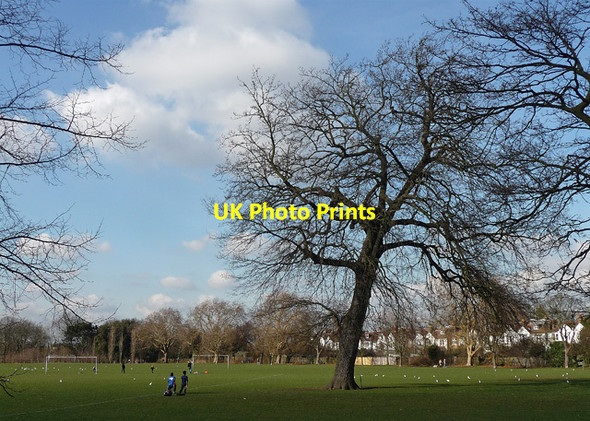 Photo 6"x4" Oak, Dulwich Park (1) Brixton\/TQ3175 c2012