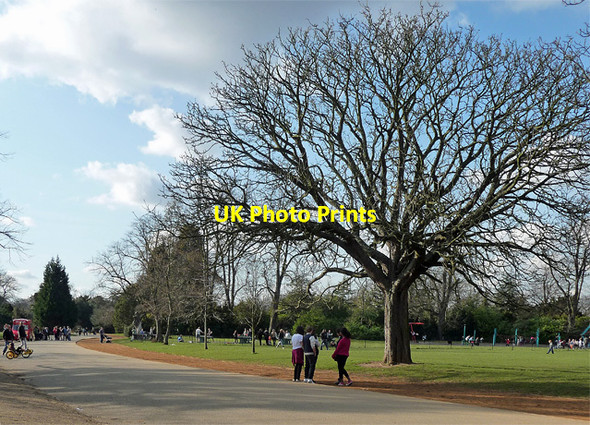 Photo 6"x4" Carriage Drive, Dulwich Park (1) Brixton\/TQ3175 c2012