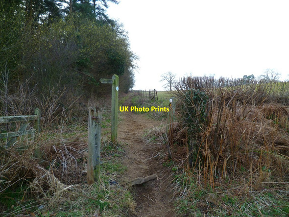 Photo 6"x4" Crosstracks near Newbarn (2) Newlands Corner c2012