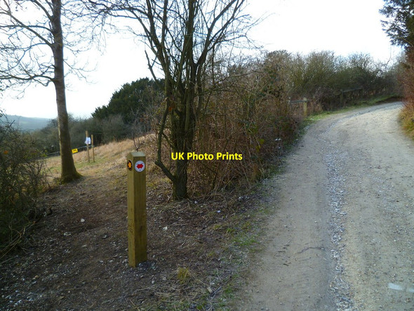 Photo 6"x4" Junction of byway and footpath by Newlands Corner Newlands Corner c2012