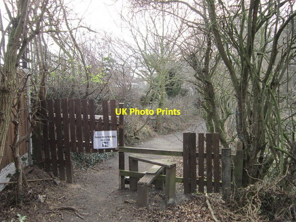 Photo 6"x4" The start of the path around the fishing lake Littleworth\/SK6298 c2012