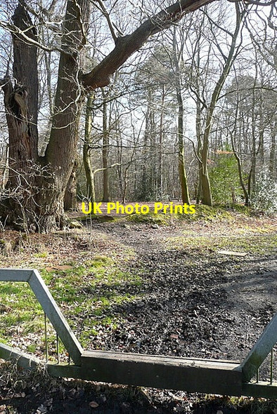 Photo 6"x4" Galleons Lane Wexham Street c2012