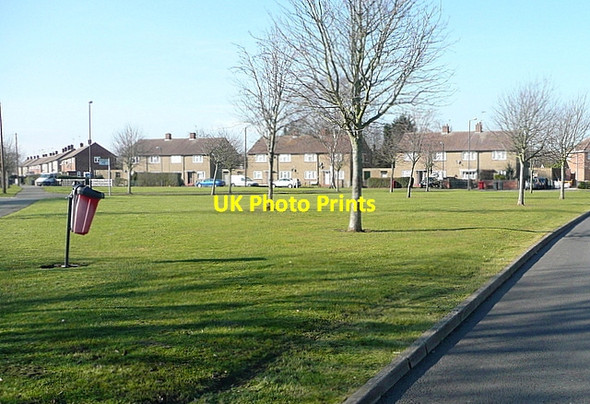 Photo 6"x4" Green in Upton Lea Slough\/SU9979 c2012