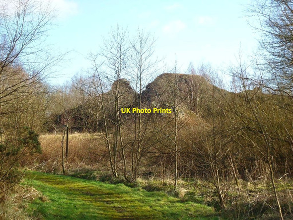 Photo 6"x4" Quarter Colliery, bing Denny c2012
