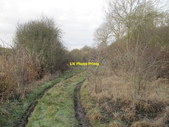 Photo 6"x4" Track in the railbed Upton\/SU5186 c2012